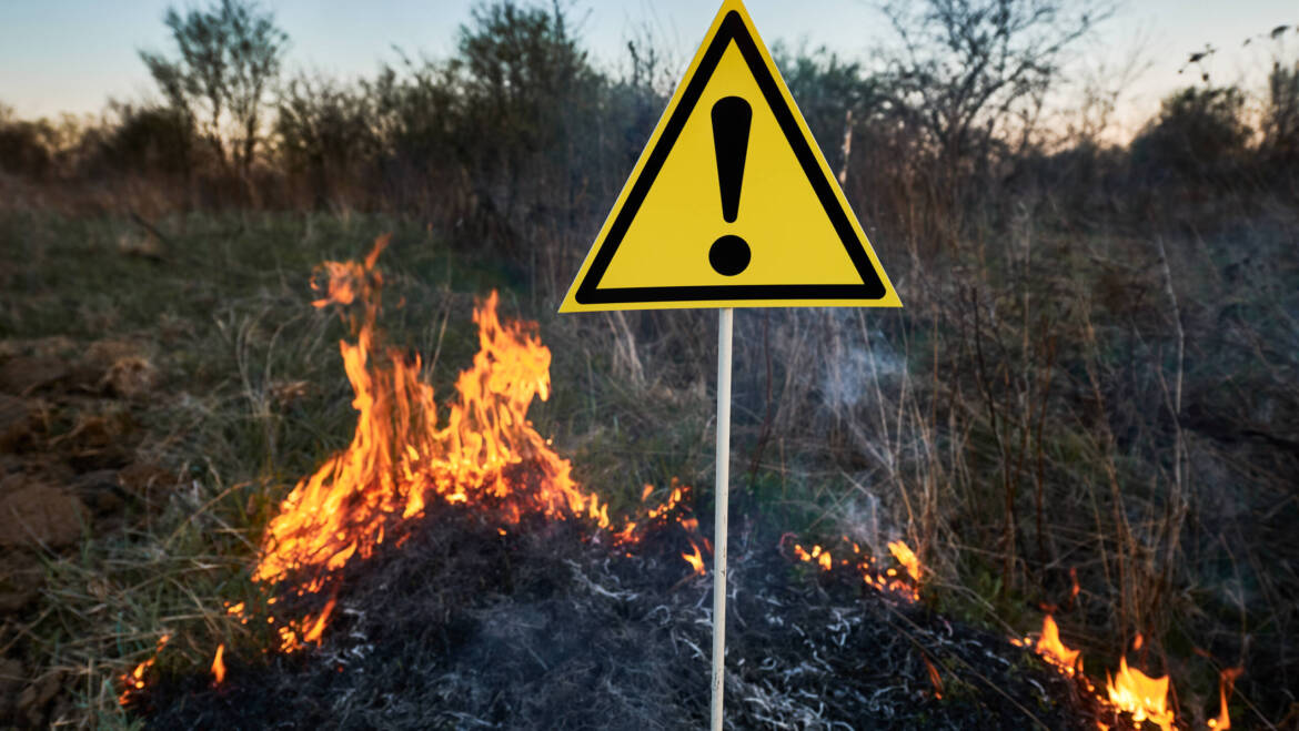 Cal Pines Fire Alert